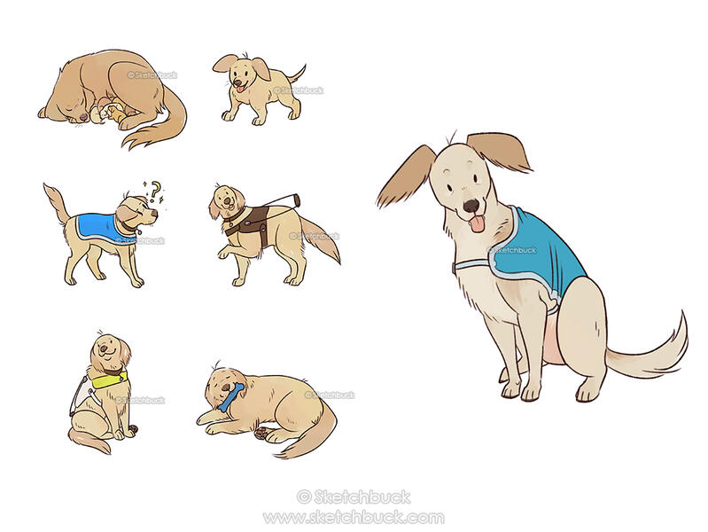 A sketchpage test of different stages of a guide dog's life, from puppy, to trainee, to working, and retired. A cute cartoony style.