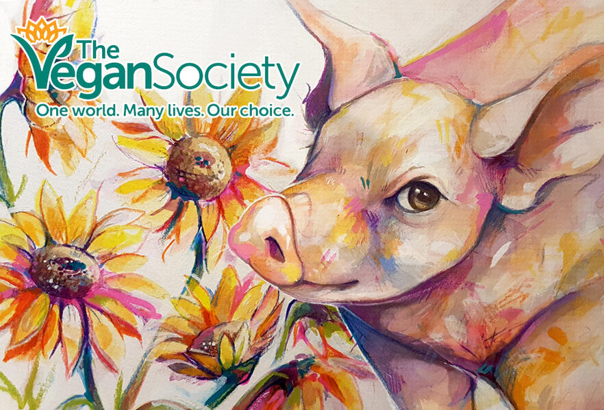 A bright watercolour portrait of a young pig looking up at the viewer. Sunflower painting underneath the Vegan Society logo on the left. Used as the Membership Card design for The Vegan Society.